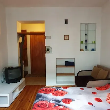 Cozy In City Center Apartment Wilna
