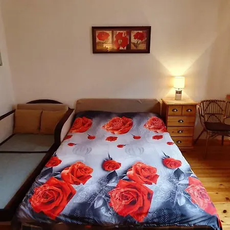 Cozy In City Center Apartman *